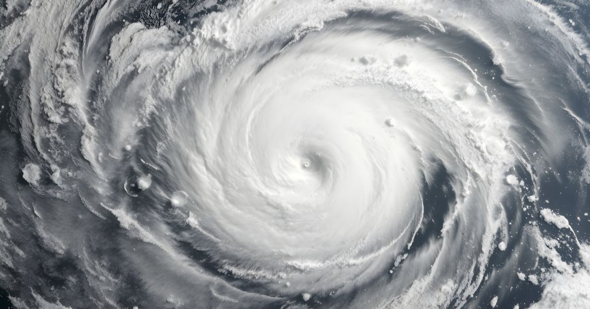 実際の風災から保険活用まで、2つの事例で学ぶ